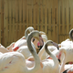 Illustration for article titled Így robbant le a hullámvasút a Vidámpark újranyitóján
